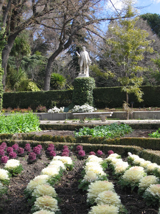 Foto de Madrid (Comunidad de Madrid), España