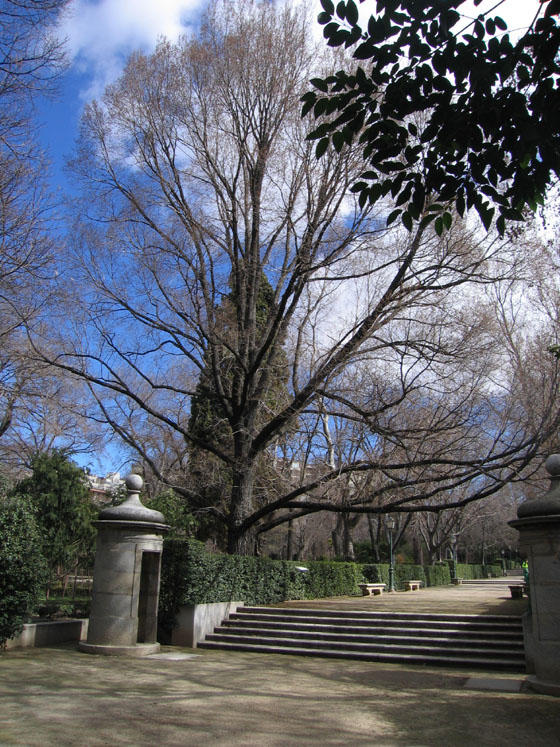 Foto de Madrid (Comunidad de Madrid), España