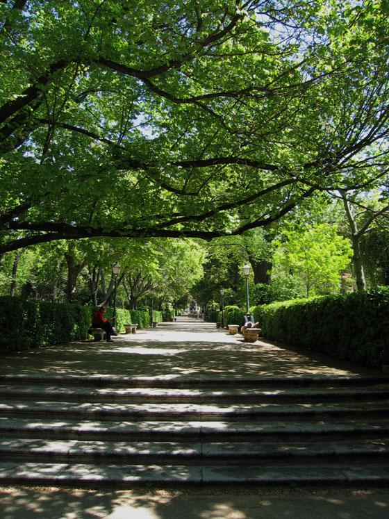 Foto de Madrid (Comunidad de Madrid), España