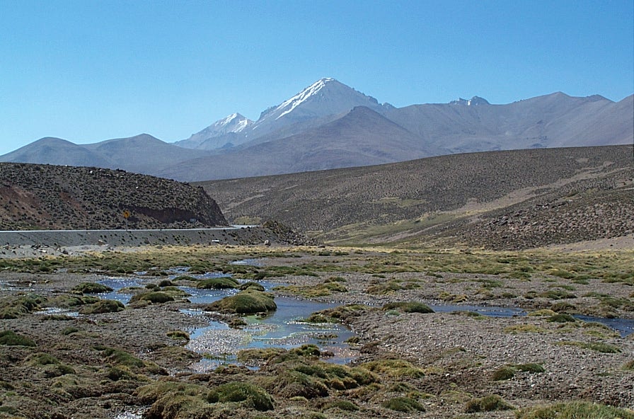 Foto de Altiplano, Chile