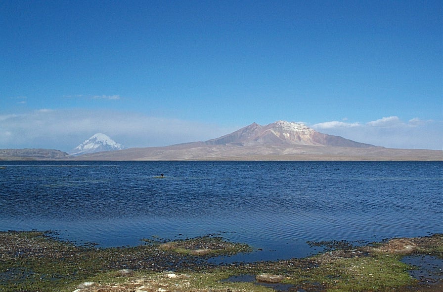 Foto de Lago Chungará, Chile