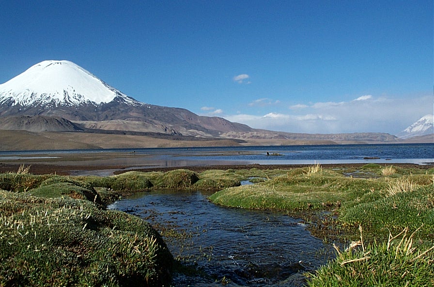 Foto de Lago Chungará, Chile