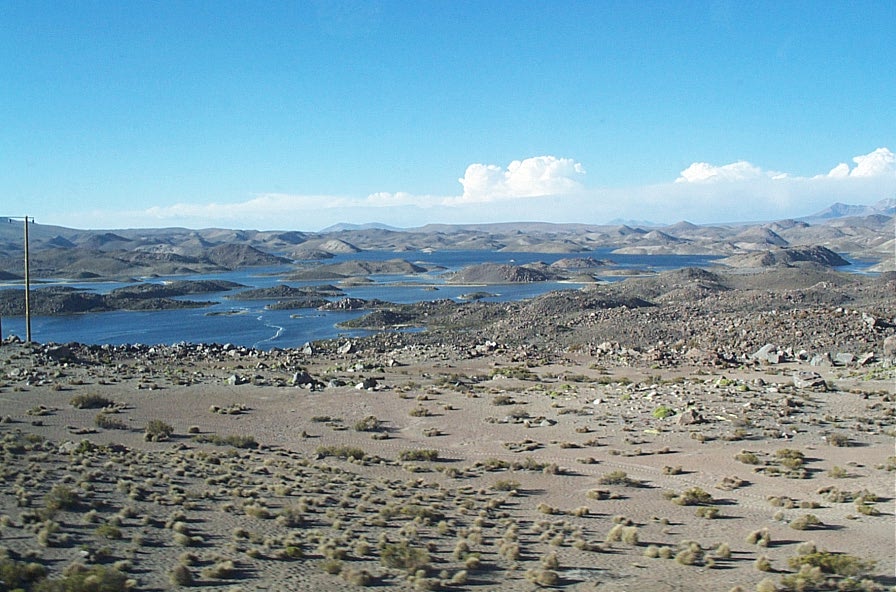 Foto de Altiplano, Chile