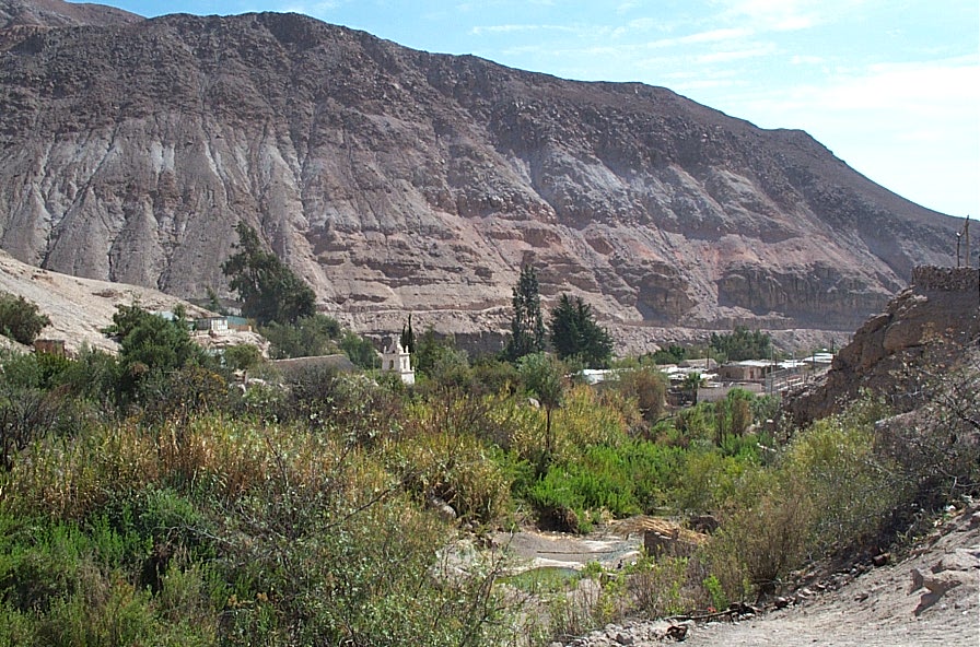 Foto de Valle de Codpa, Chile