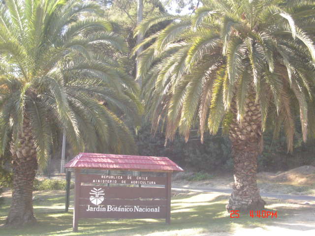 Foto de VIÑA DEL MAR, Chile