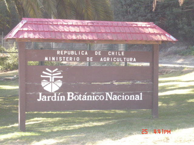 Foto de VIÑA DEL MAR, Chile