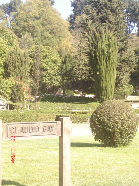 Foto de VIÑA DEL MAR, Chile