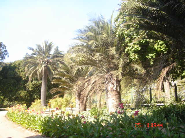 Foto de VIÑA DEL MAR, Chile