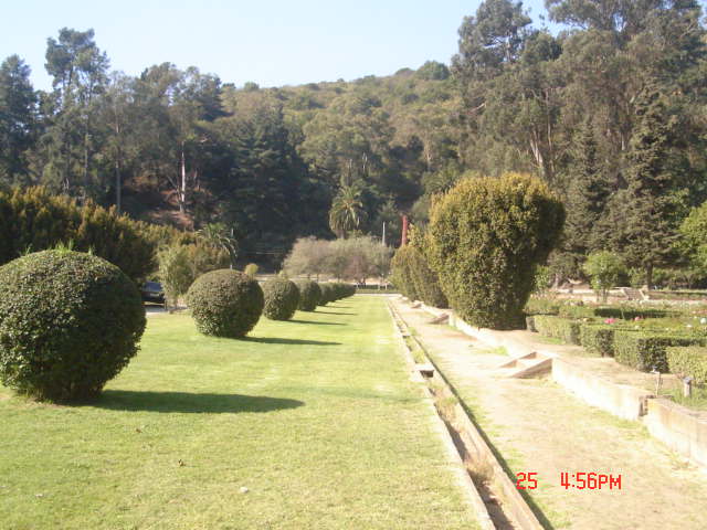 Foto de VIÑA DEL MAR, Chile