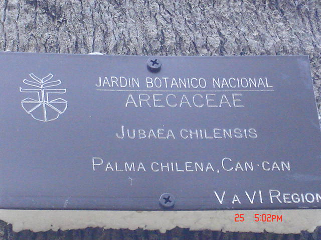 Foto de VIÑA DEL MAR, Chile