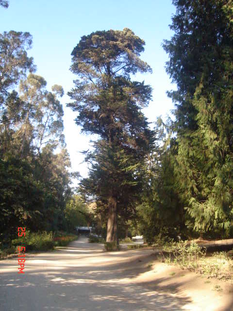 Foto de VIÑA DEL MAR, Chile