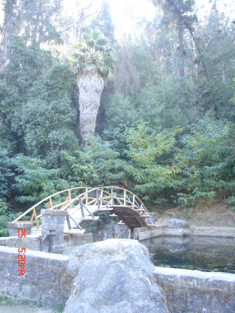 Foto de VIÑA DEL MAR, Chile