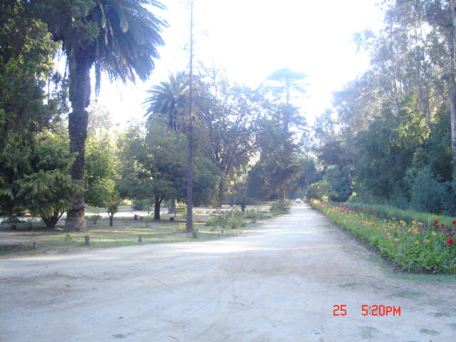 Foto de VIÑA DEL MAR, Chile