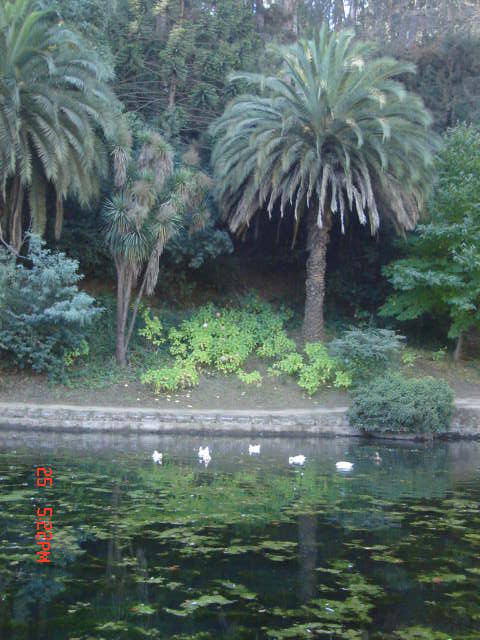 Foto de VIÑA DEL MAR, Chile