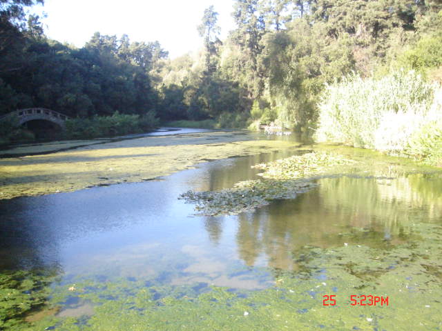 Foto de VIÑA DEL MAR, Chile
