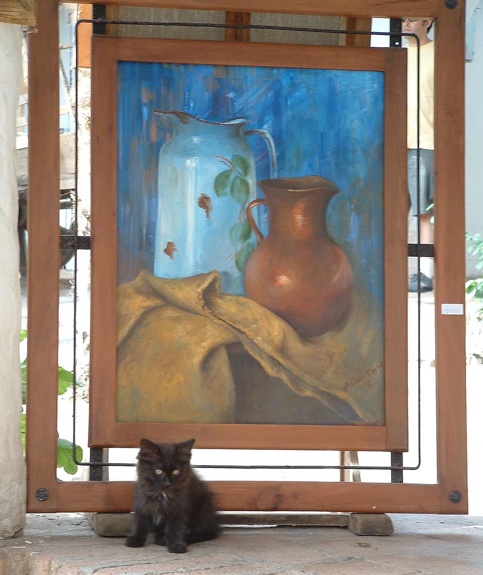 Foto de Santiago, Chile