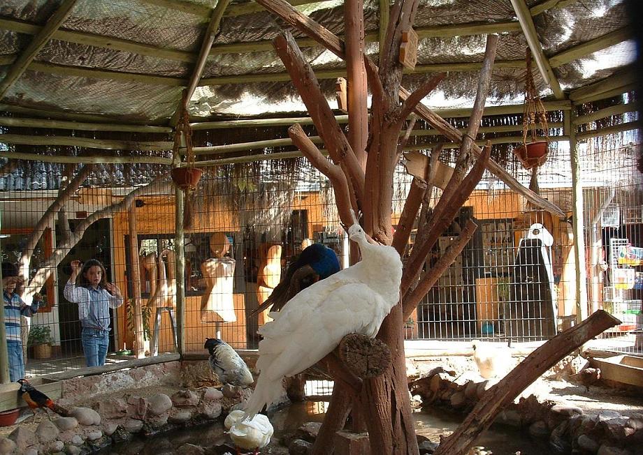 Foto de Santiago, Chile