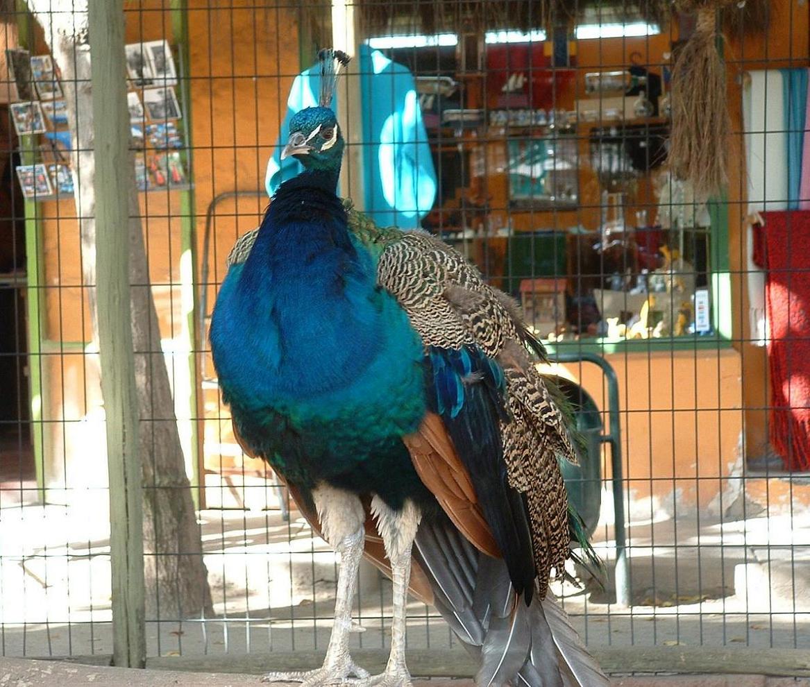 Foto de Santiago, Chile