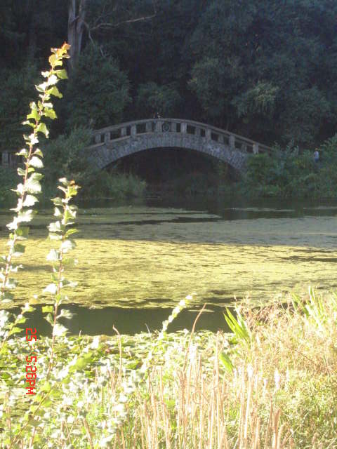 Foto de VIÑA DEL MAR, Chile