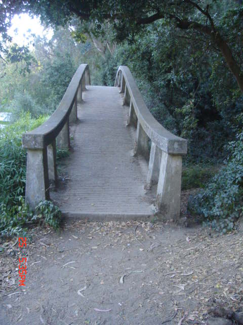 Foto de VIÑA DEL MAR, Chile