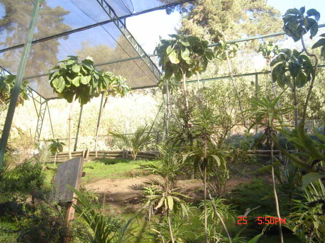 Foto de VIÑA DEL MAR, Chile