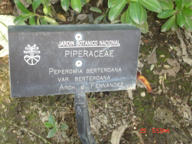 Foto de VIÑA DEL MAR, Chile