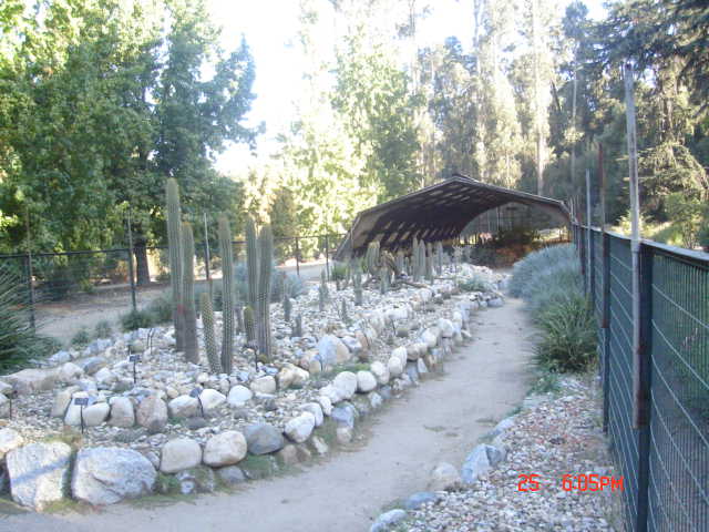 Foto de VIÑA DEL MAR, Chile
