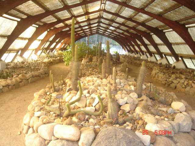 Foto de VIÑA DEL MAR, Chile