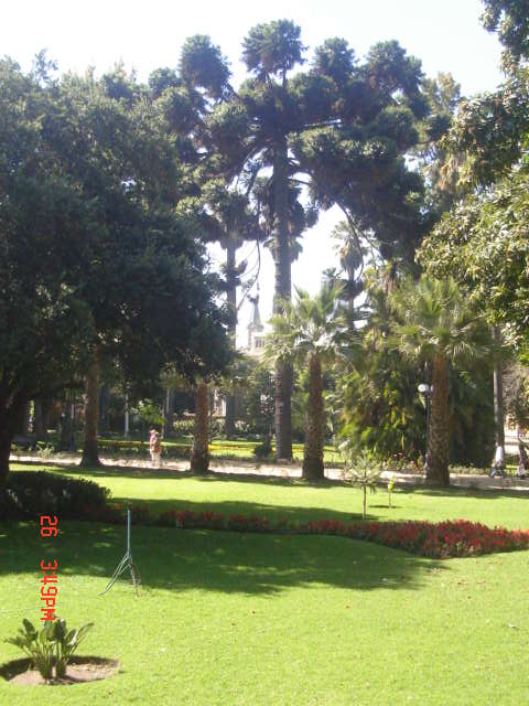 Foto de VIÑA DEL MAR, Chile