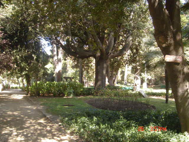 Foto de VIÑA DEL MAR, Chile