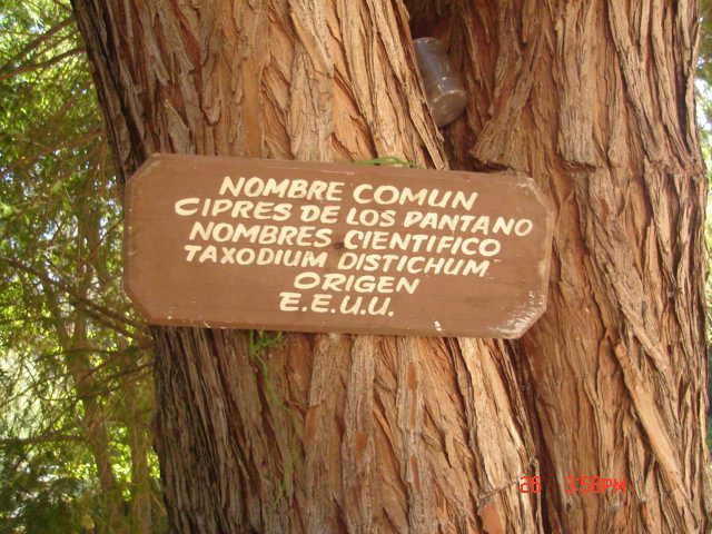 Foto de VIÑA DEL MAR, Chile