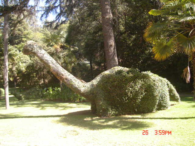 Foto de VIÑA DEL MAR, Chile