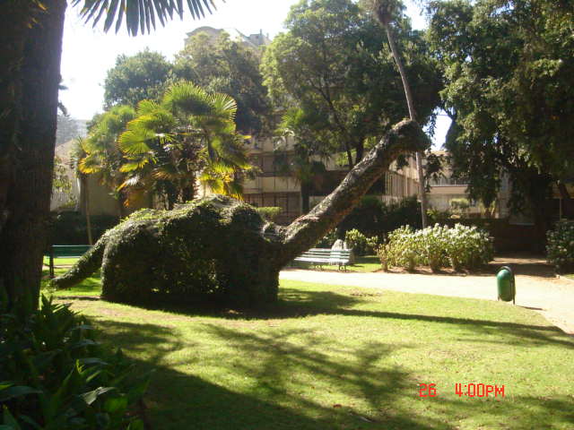 Foto de VIÑA DEL MAR, Chile