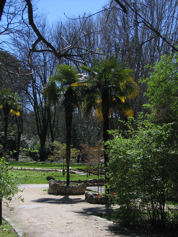 Foto de Madrid (Comunidad de Madrid), España