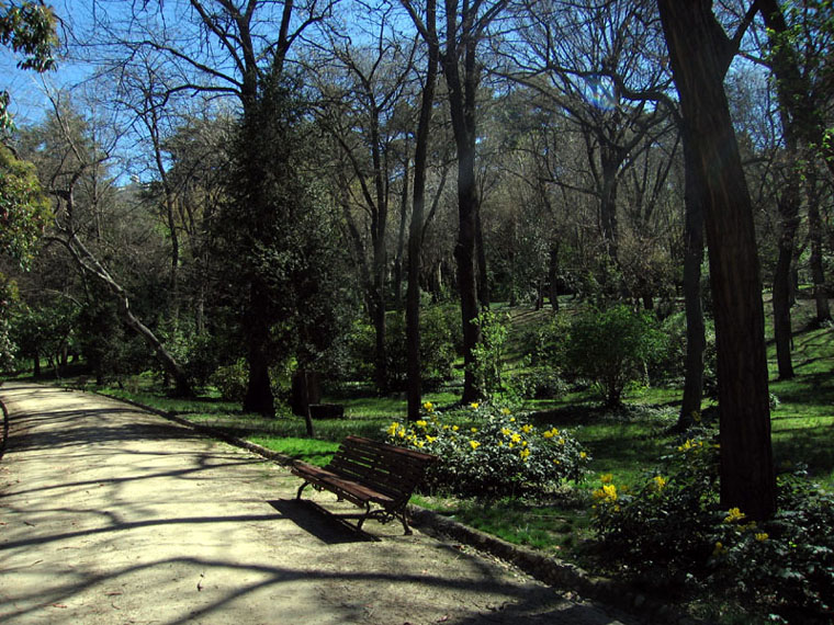 Foto de Madrid (Comunidad de Madrid), España