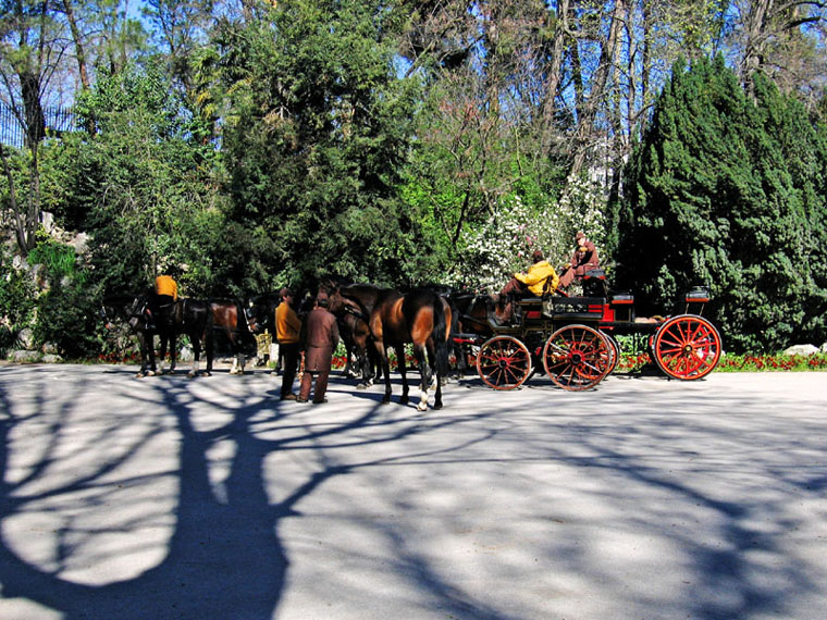 Foto de Madrid (Comunidad de Madrid), España