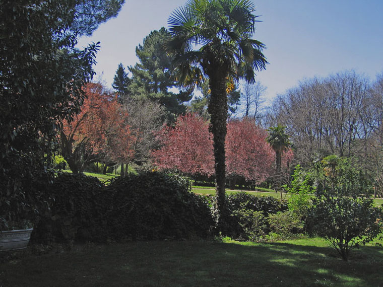 Foto de Madrid (Comunidad de Madrid), España