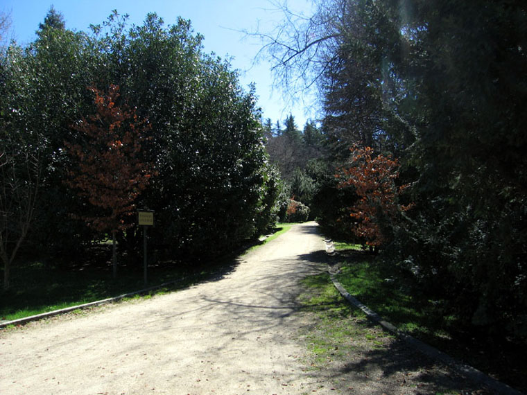 Foto de Madrid (Comunidad de Madrid), España