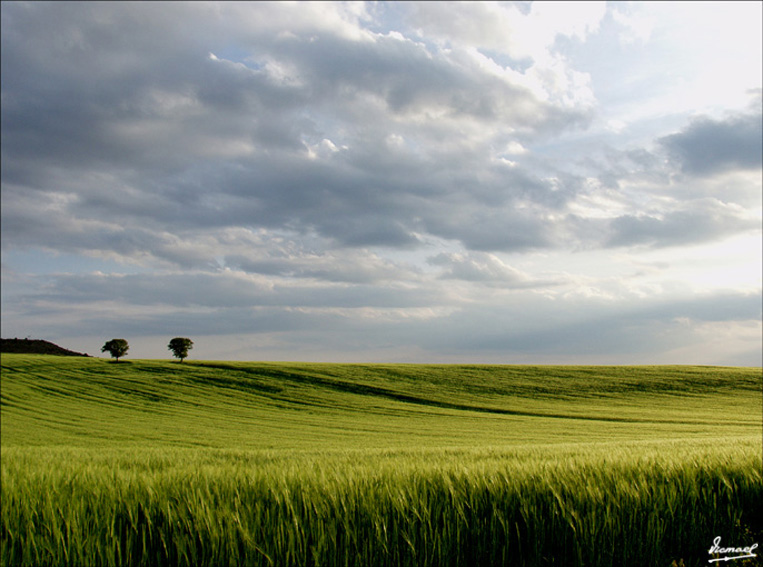 Foto de Alconchel de Ariza (Zaragoza), España
