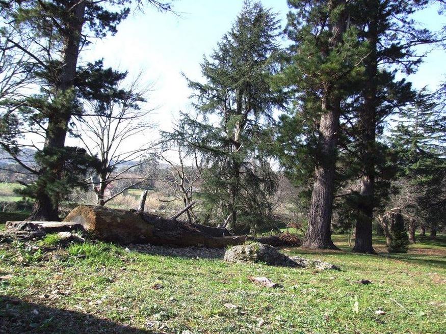 Foto de La Concha (Cantabria), España