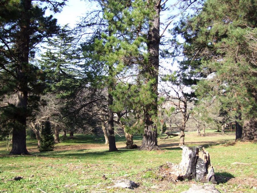 Foto de La Concha (Cantabria), España