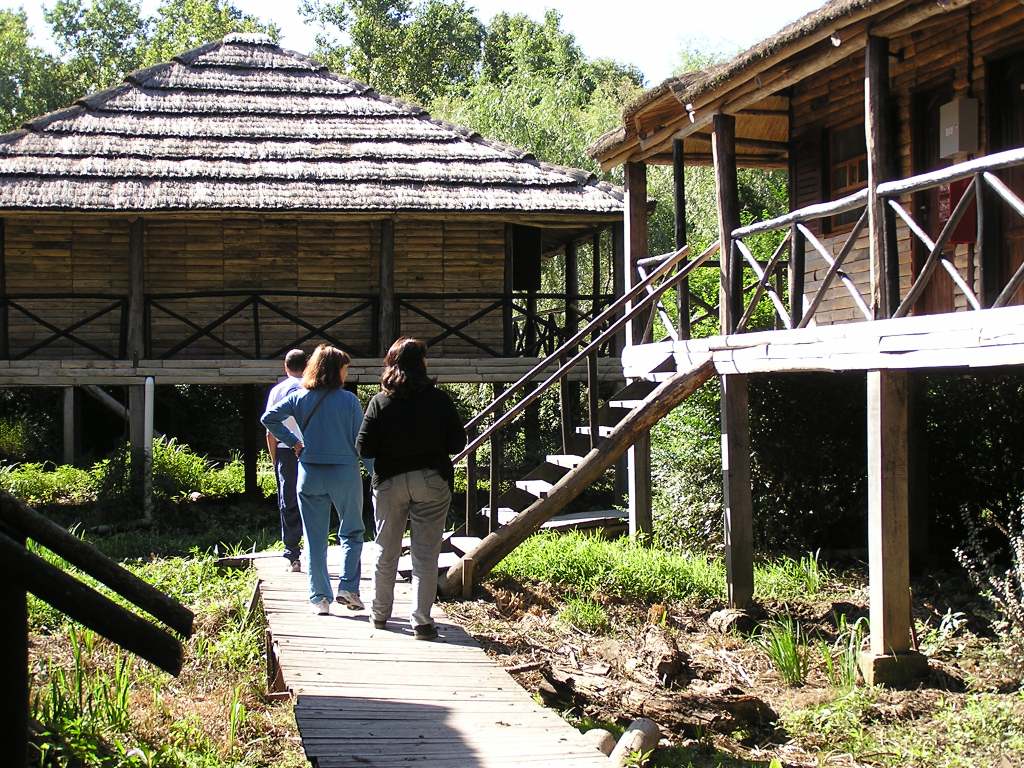 Foto de Tigre, Argentina