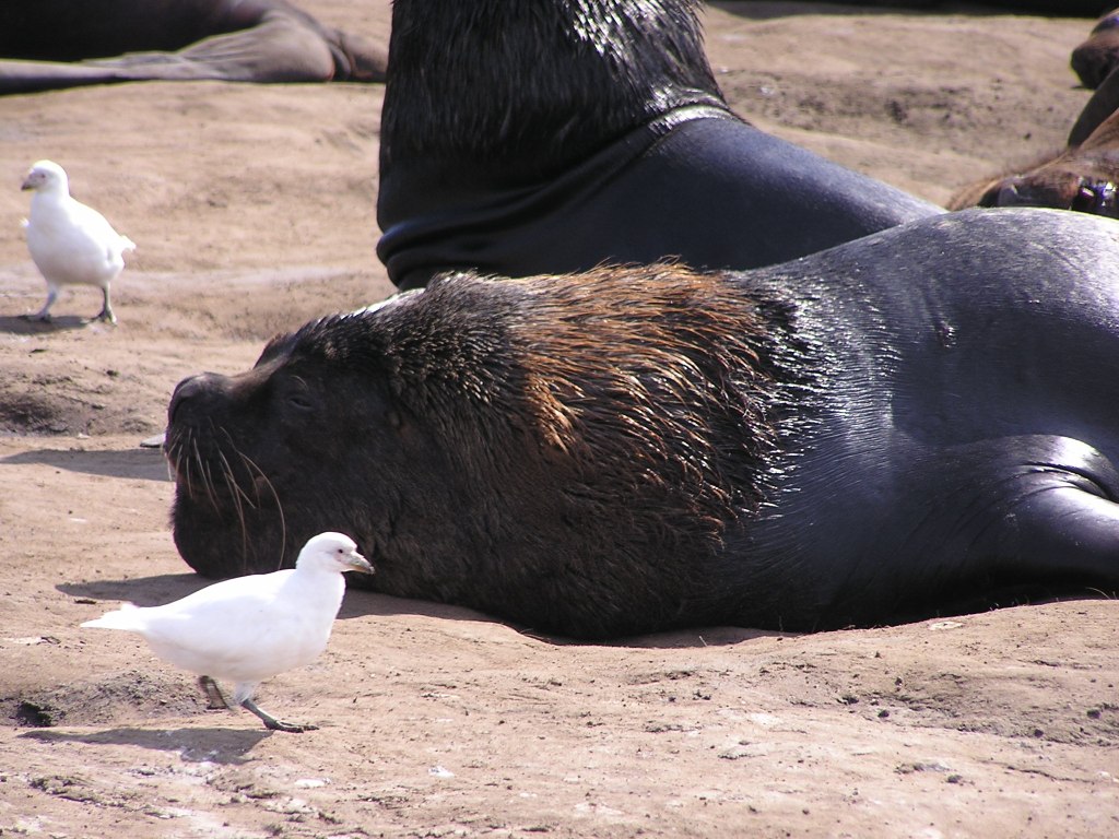 Foto de Mar del Plata, Argentina