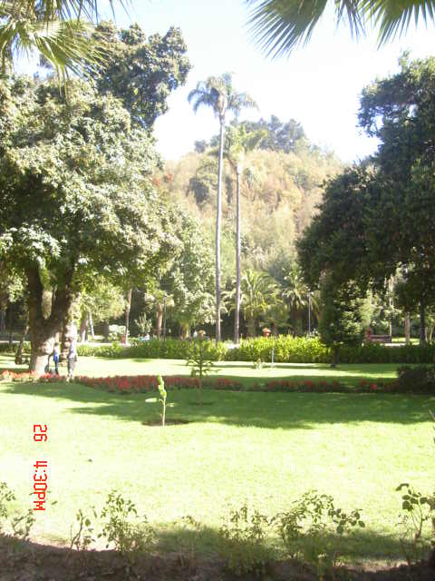 Foto de VIÑA DEL MAR, Chile