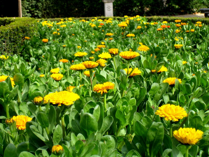 Foto de Madrid (Comunidad de Madrid), España