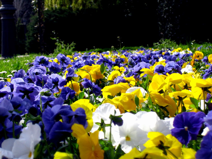 Foto de Madrid (Comunidad de Madrid), España