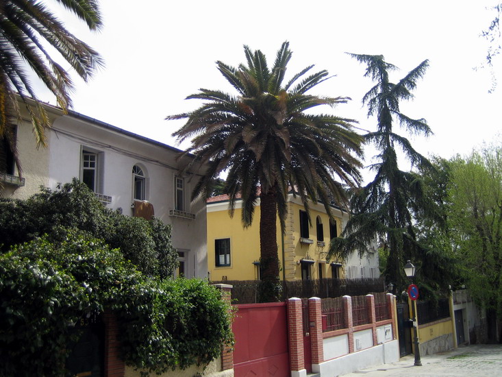 Foto de Madrid (Comunidad de Madrid), España