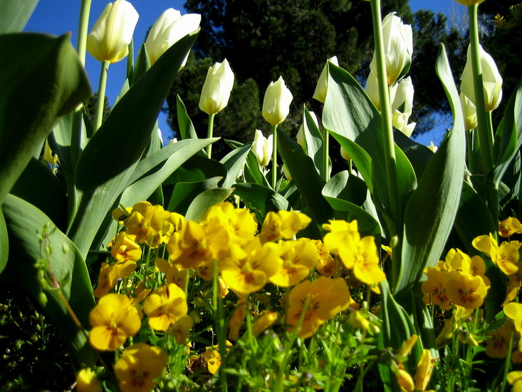 Foto de Madrid (Comunidad de Madrid), España