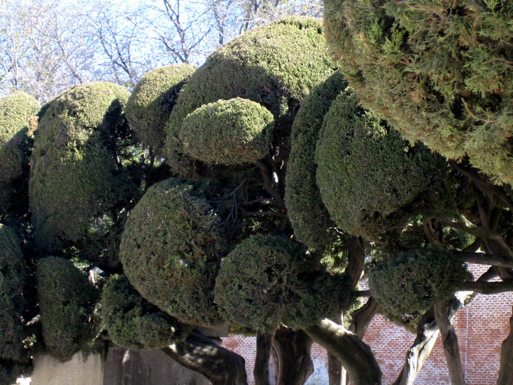 Foto de Madrid (Comunidad de Madrid), España