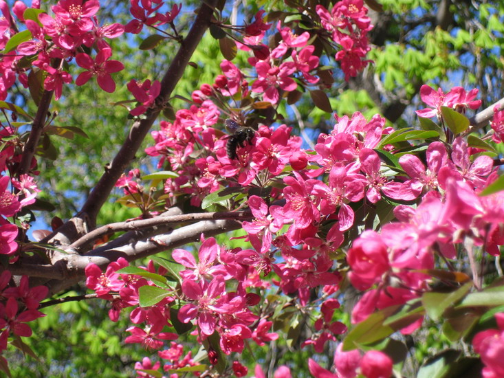 Foto de Madrid (Comunidad de Madrid), España